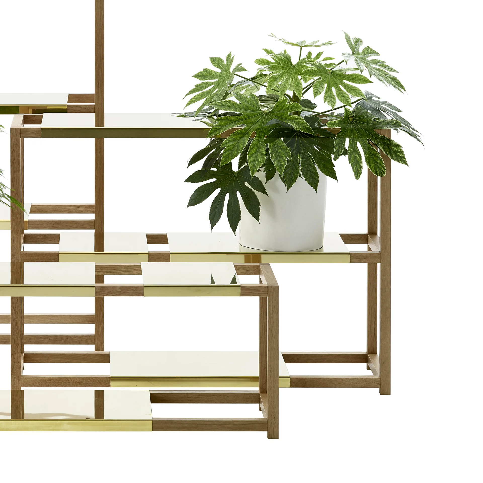 The Botanic Shelf High hylle, eik svartbeiset, svarte stålhyller Adea