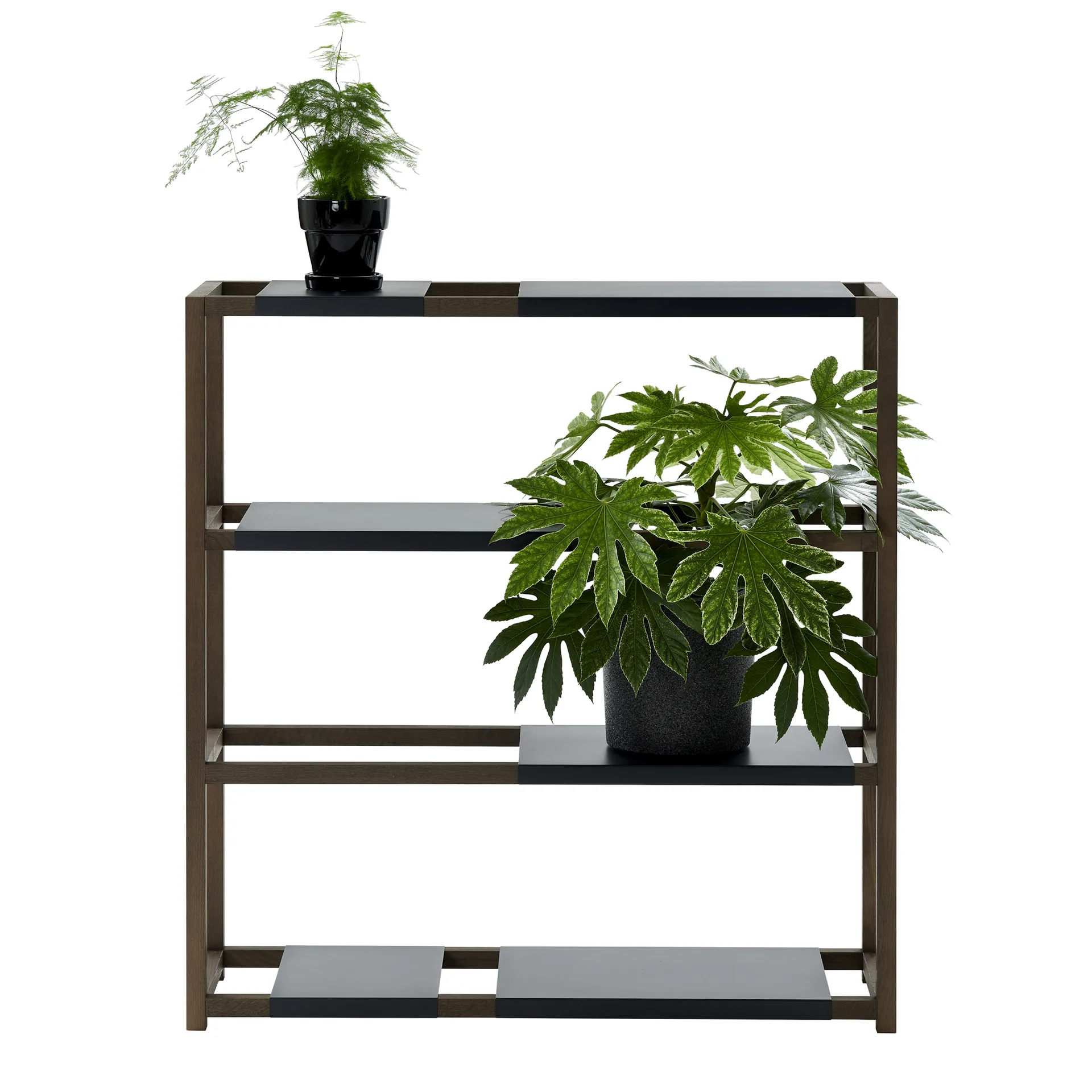The Botanic Shelf Medium hylle, eik svartbeiset, svarte metallhyller Adea