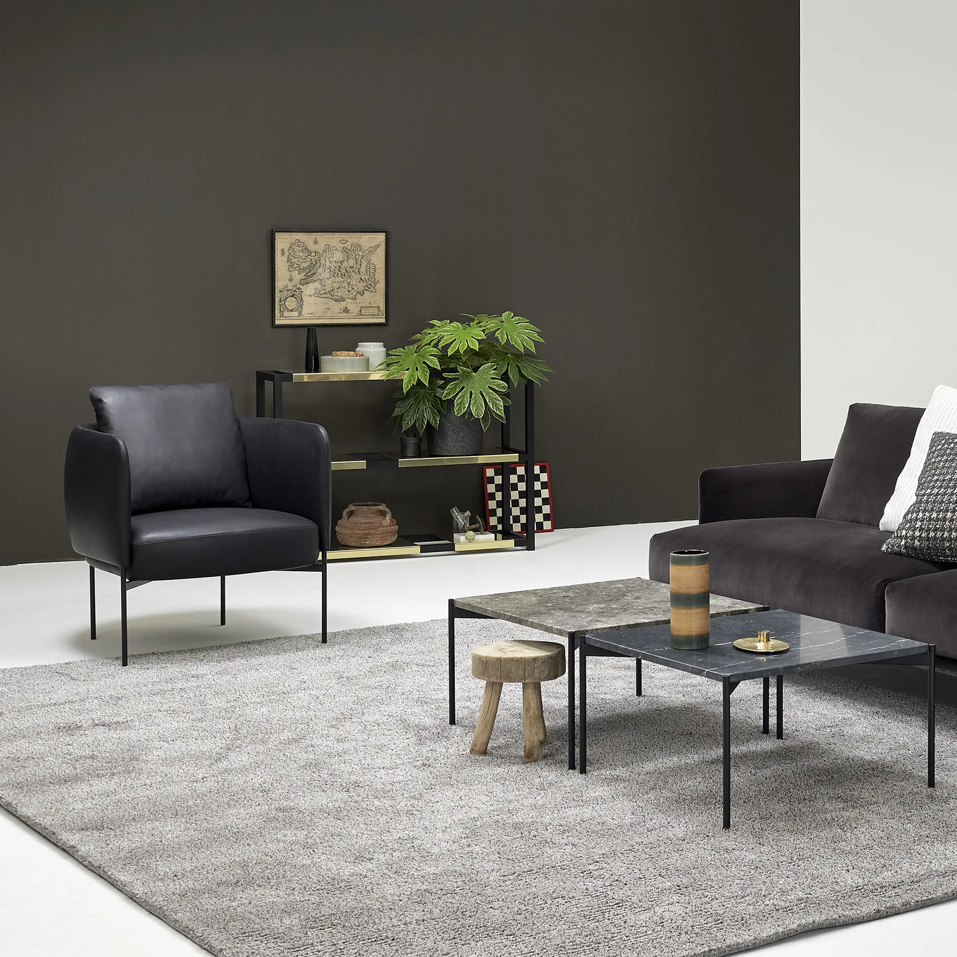 The Botanic Shelf Medium hylle, eik svartbeiset, svarte metallhyller Adea