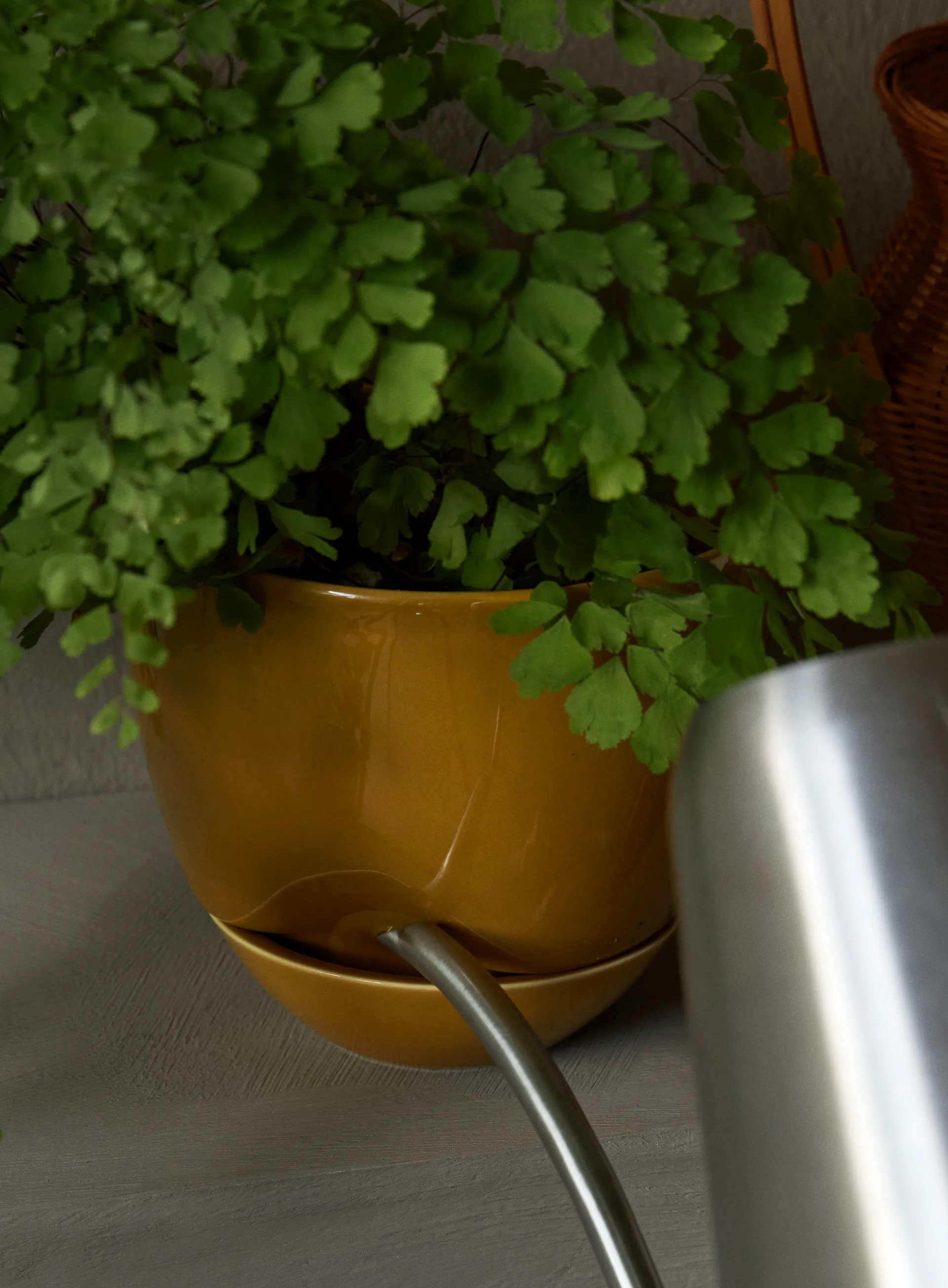 Hydrous krukke Ø 12 cm, Ochre Audo Copenhagen