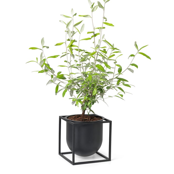 Kubus blomsterpotte 14 cm, Svart Audo Copenhagen