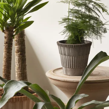 Atlas raw krukke med fat - Grey, Ø16 cm - Bergs Potter