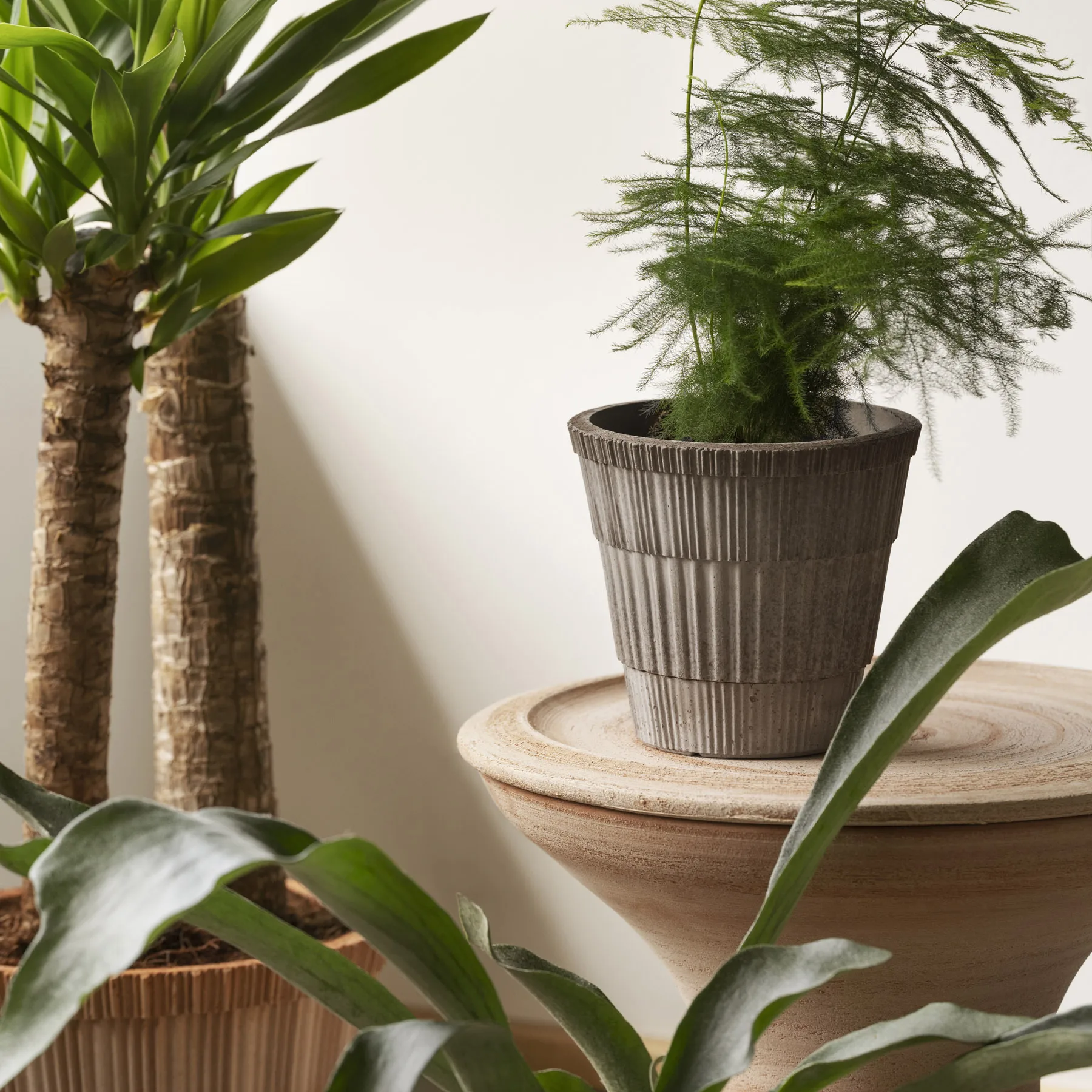 Atlas raw krukke med fat, Grey, Ø18 cm Bergs Potter