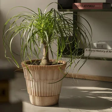 Atlas raw krukke med fat - Rosa, Ø18 cm - Bergs Potter