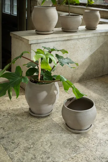 Delphi potte med fat 2 deler - Grey, Ø22 cm, tall - Bergs Potter