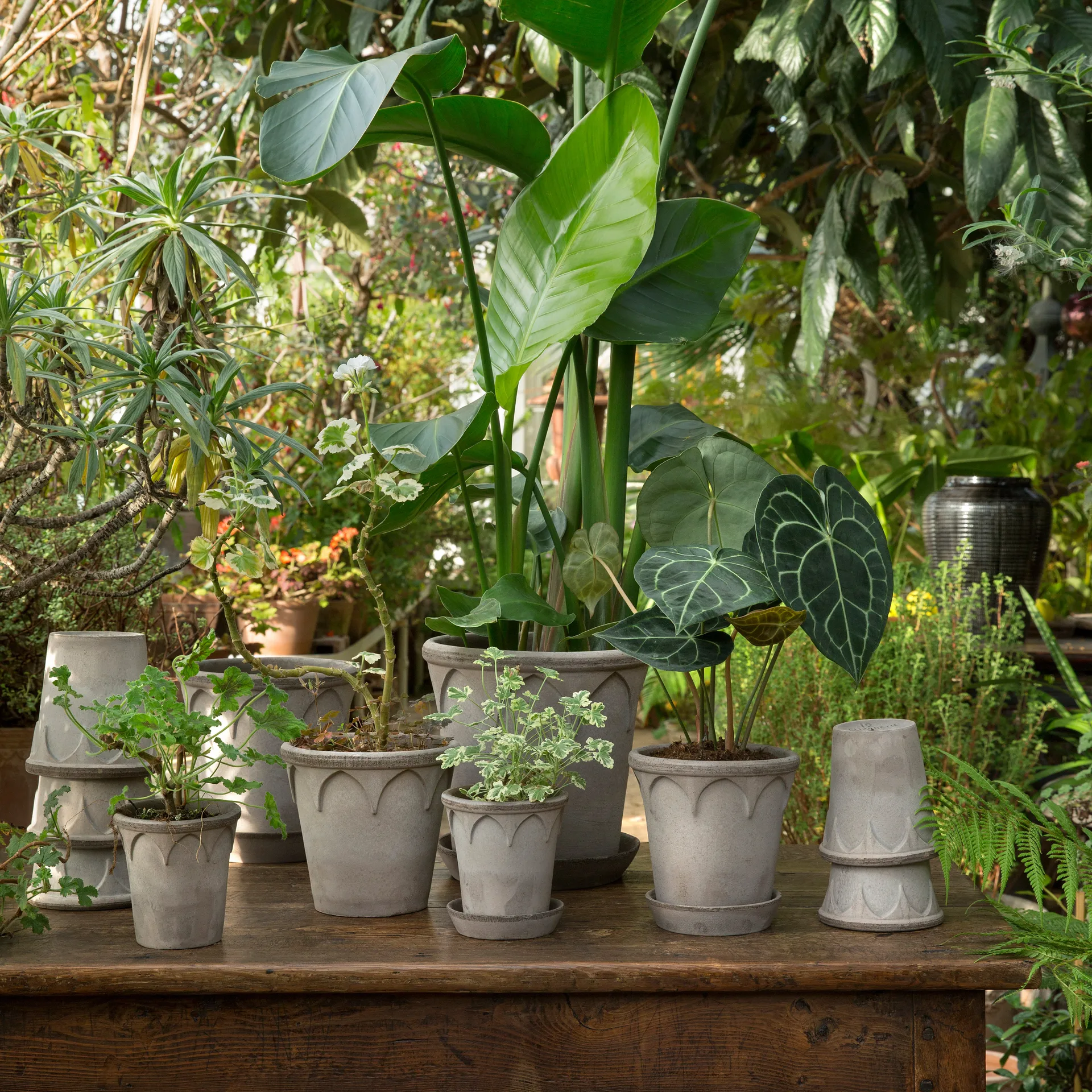 Elizabeth krukke Ø14 cm, Grey Bergs Potter