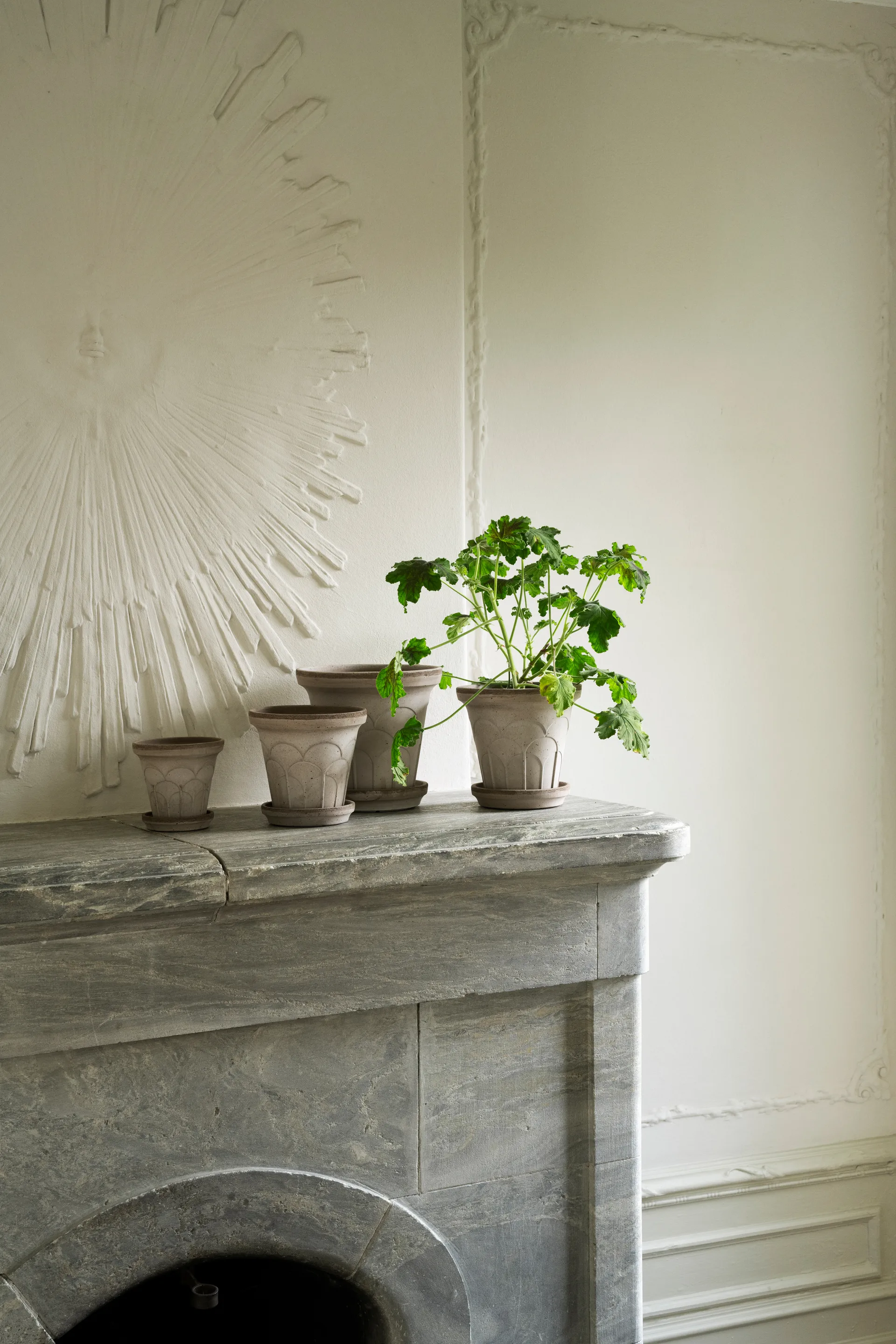 Fleur potte med fat 2 deler, Grey, Ø16 cm Bergs Potter