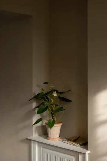 Fleur potte med fat 2 deler - Rosa, Ø16 cm - Bergs Potter