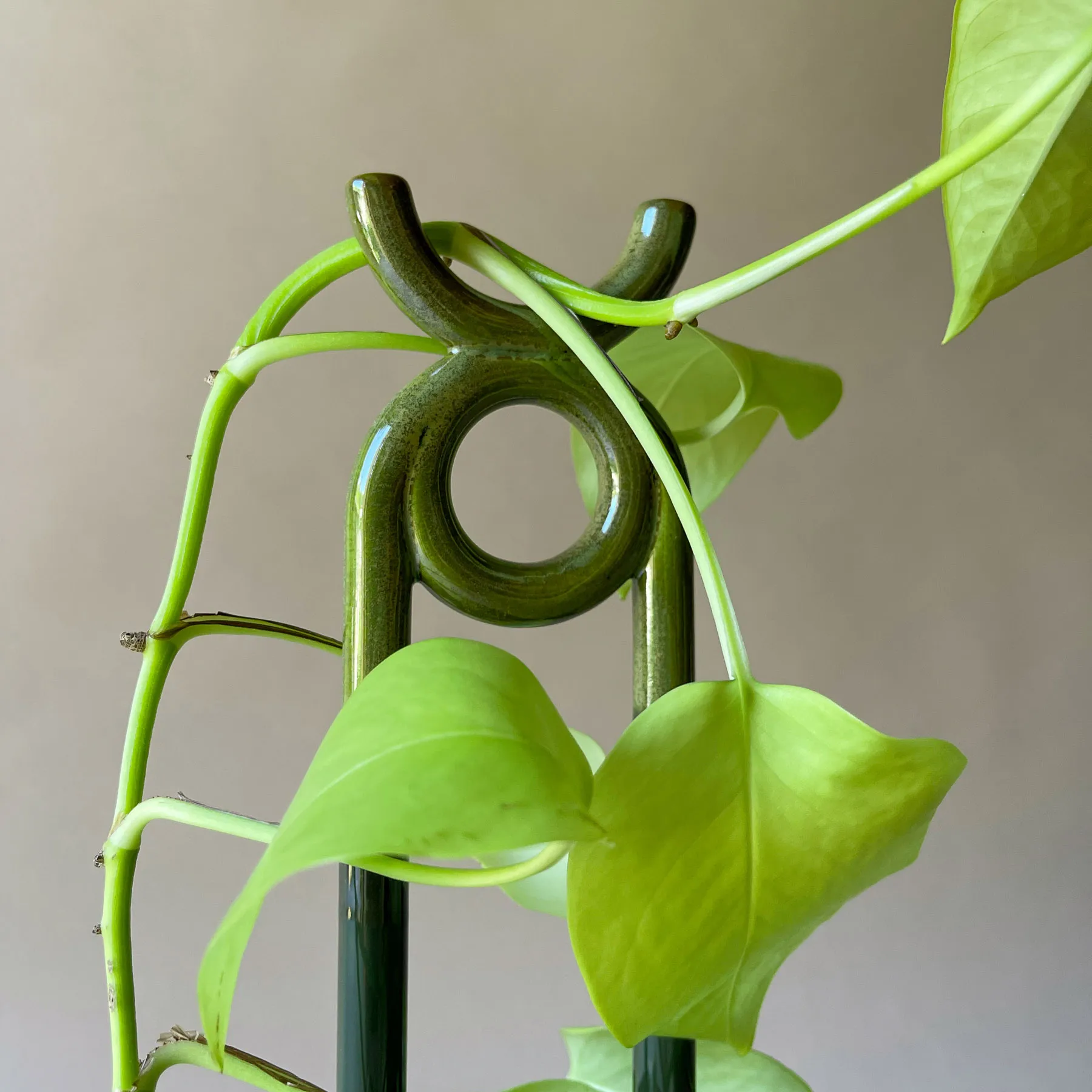 Folk Oni plantestøtte, Moss green Bergs Potter