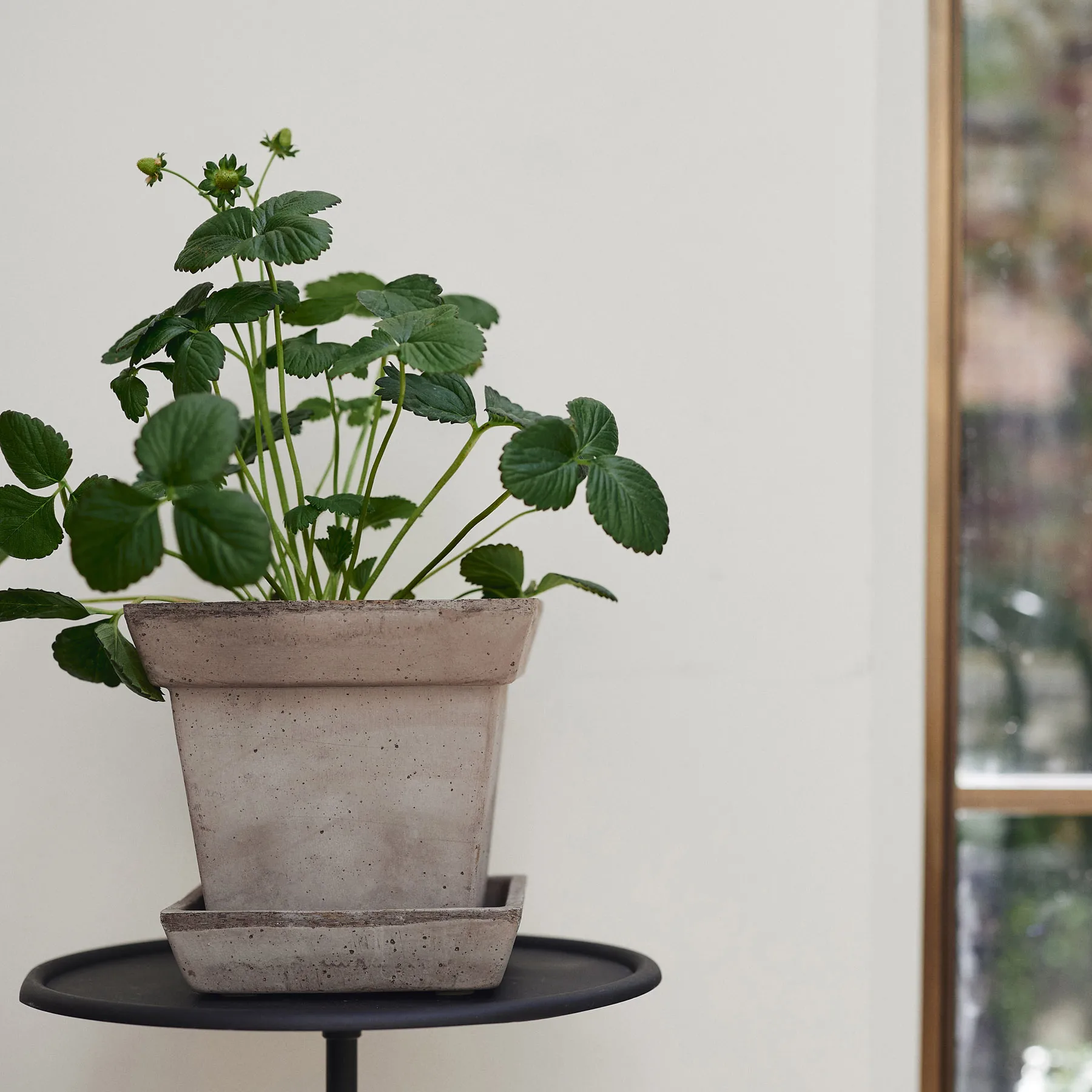 Gaia raw krukke, Grey, Ø21 cm Bergs Potter