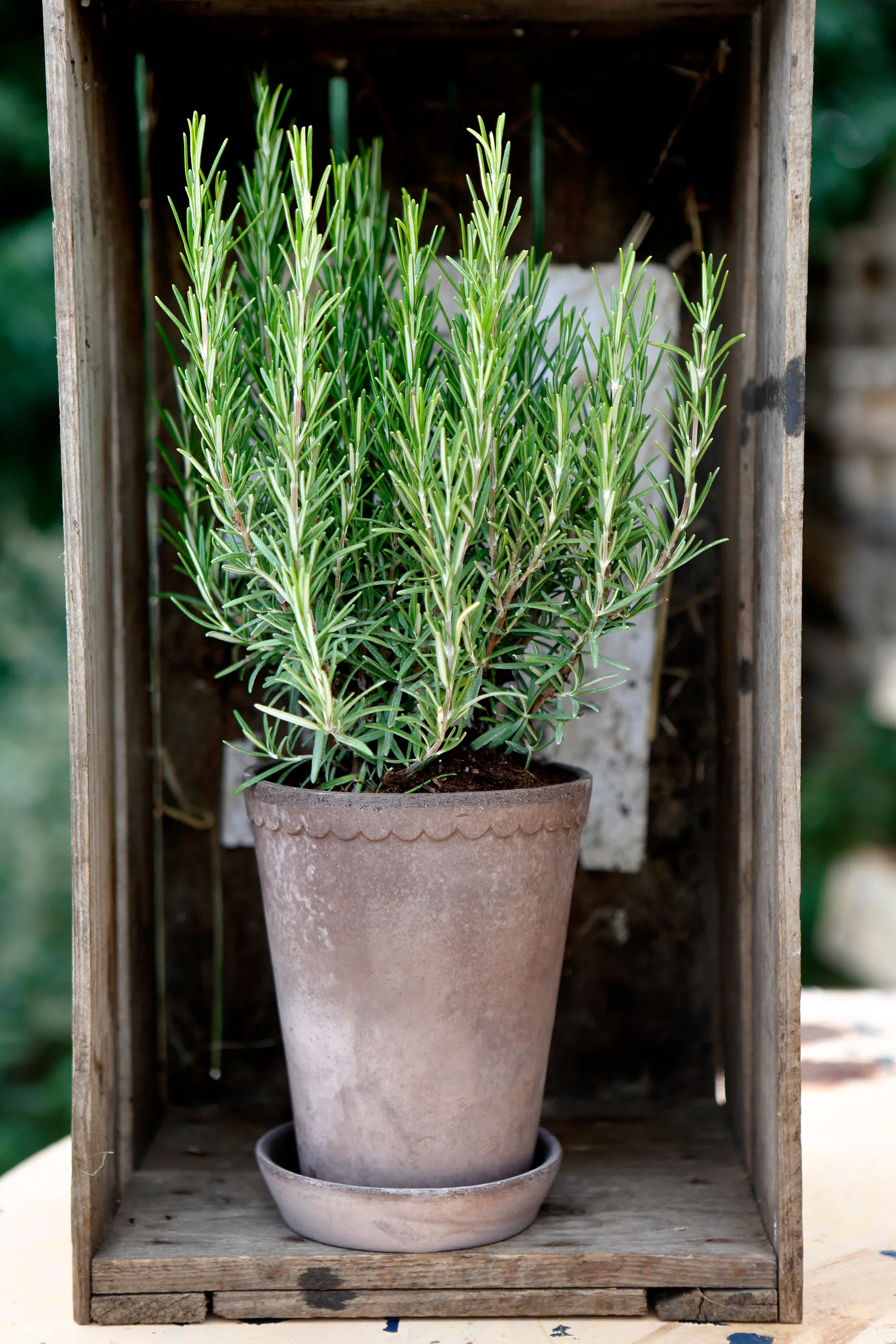 Helena krukke høy Ø14 cm, Grå Bergs Potter