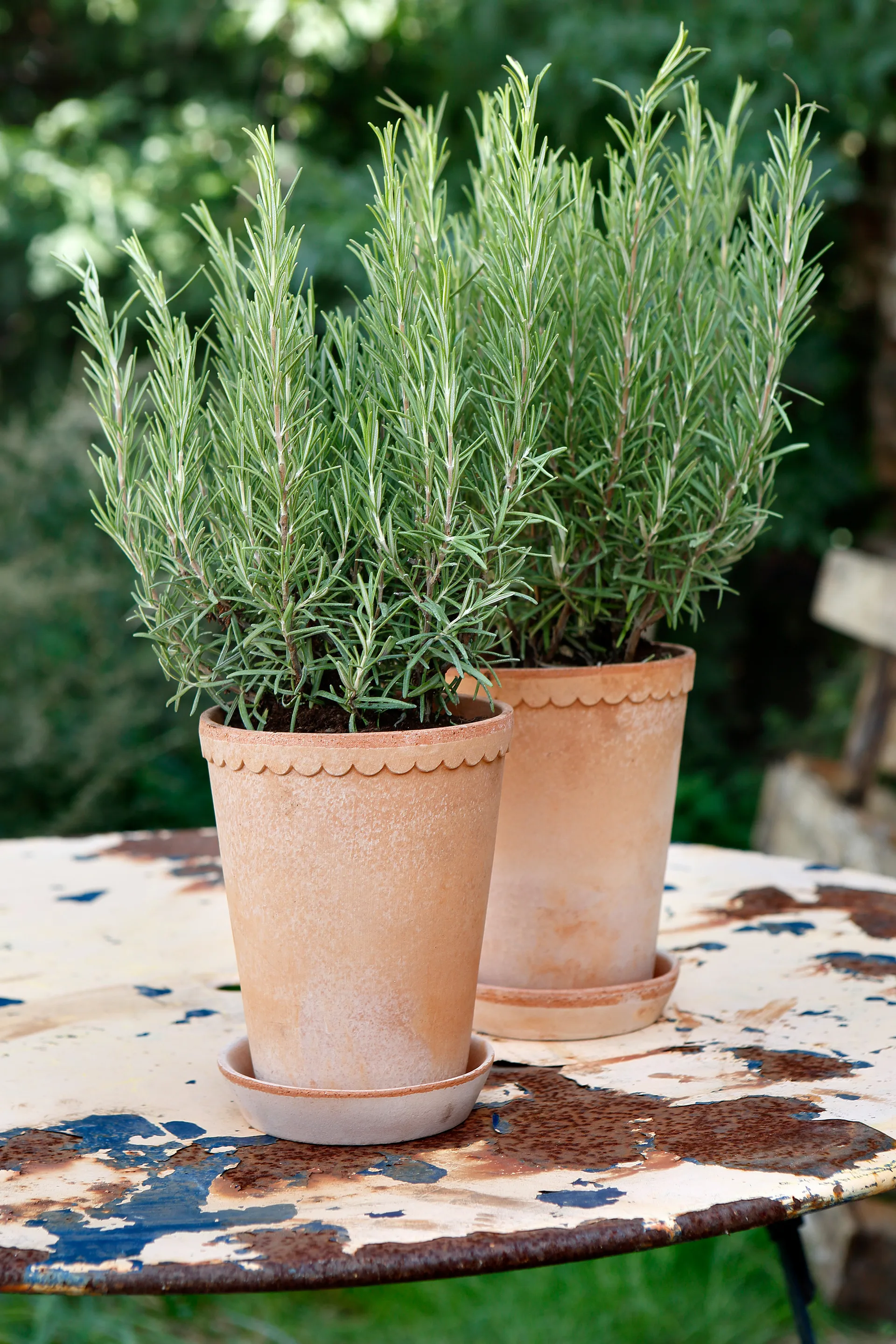 Helena krukke høy Ø14 cm, Rosa Bergs Potter