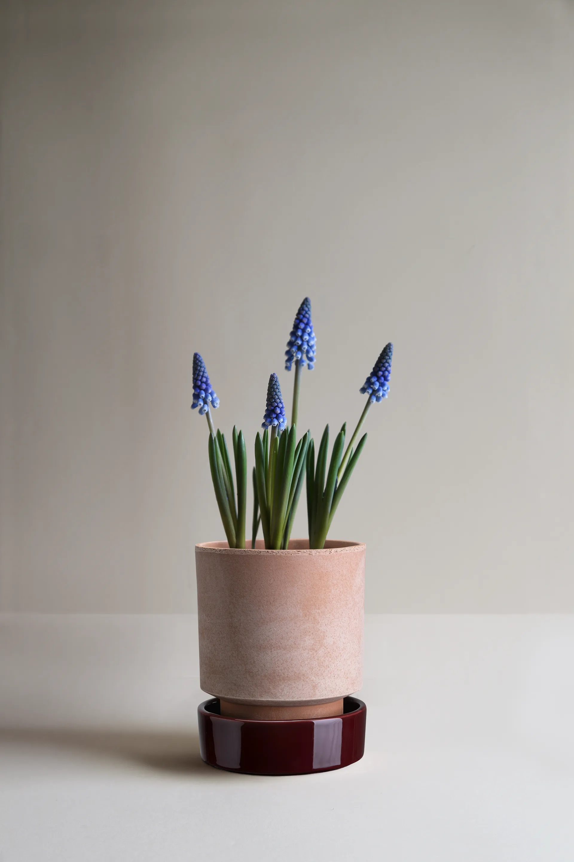 Hoff krukke, Ø14 cm, Raw Rosa-Deep Burgundy Bergs Potter