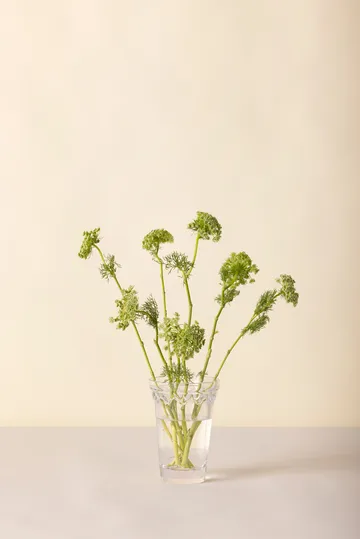 København vase - Klar, 18,5 cm - Bergs Potter