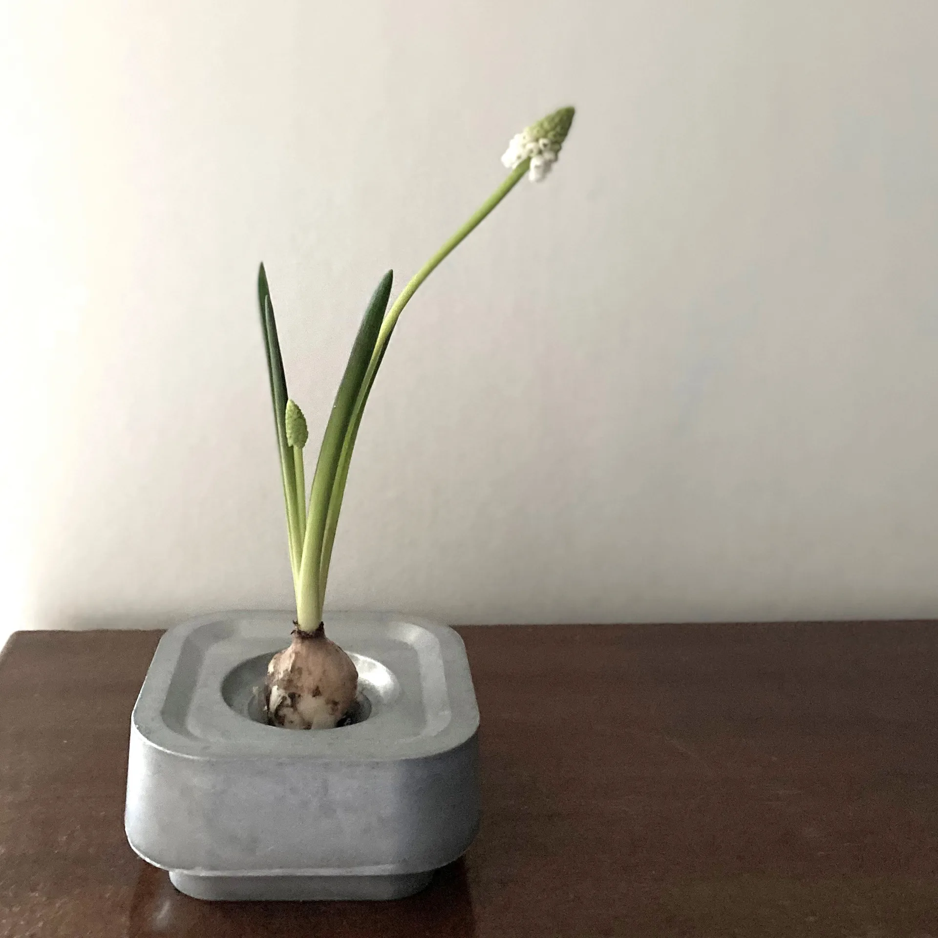 Stumpestaken Ettan, Aluminium Born In Sweden