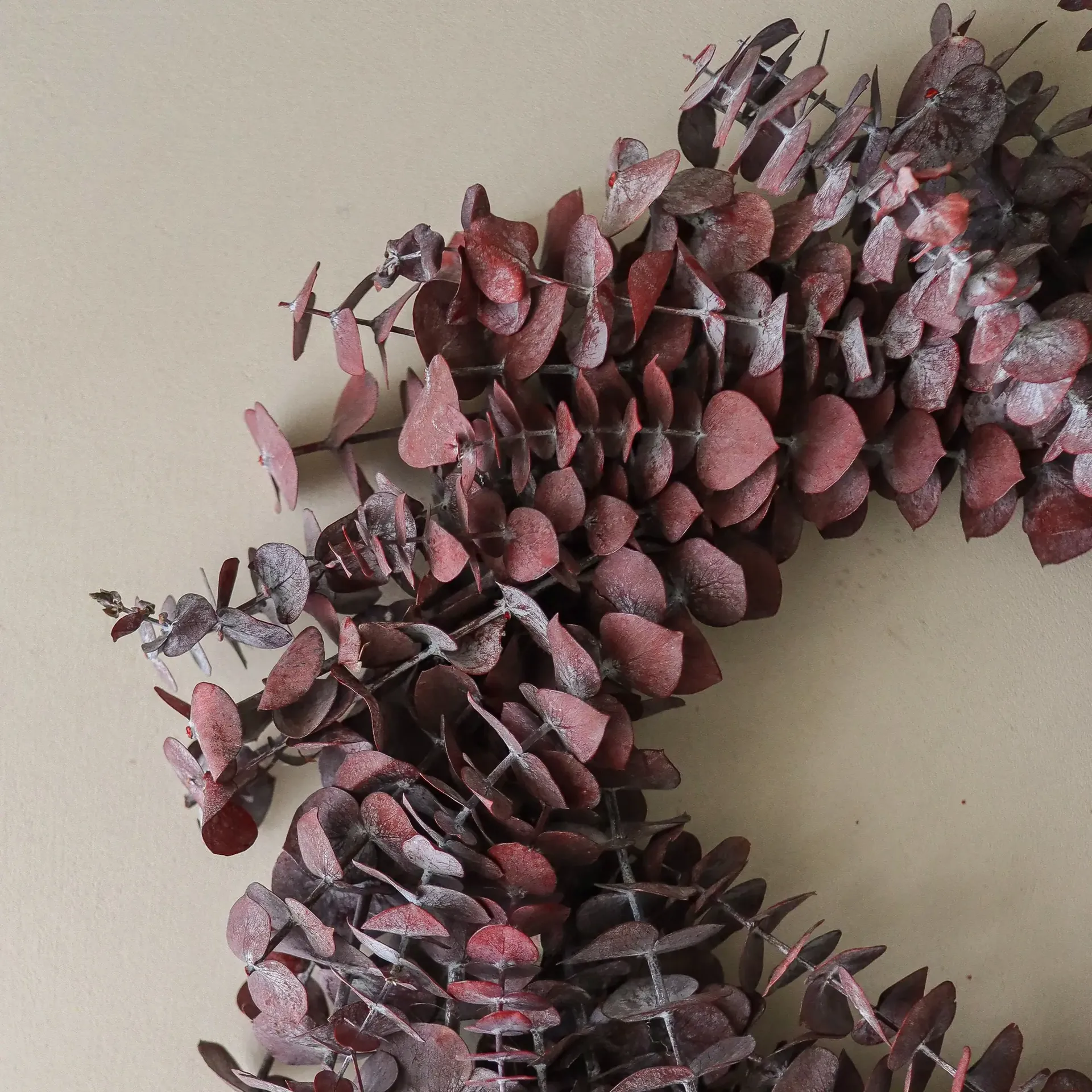 Eucalyptus Wreath krans, Mørkerød, Ø40 cm Botané