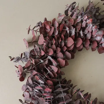 Eucalyptus Wreath krans - Mørkerød, Ø40 cm - Botané