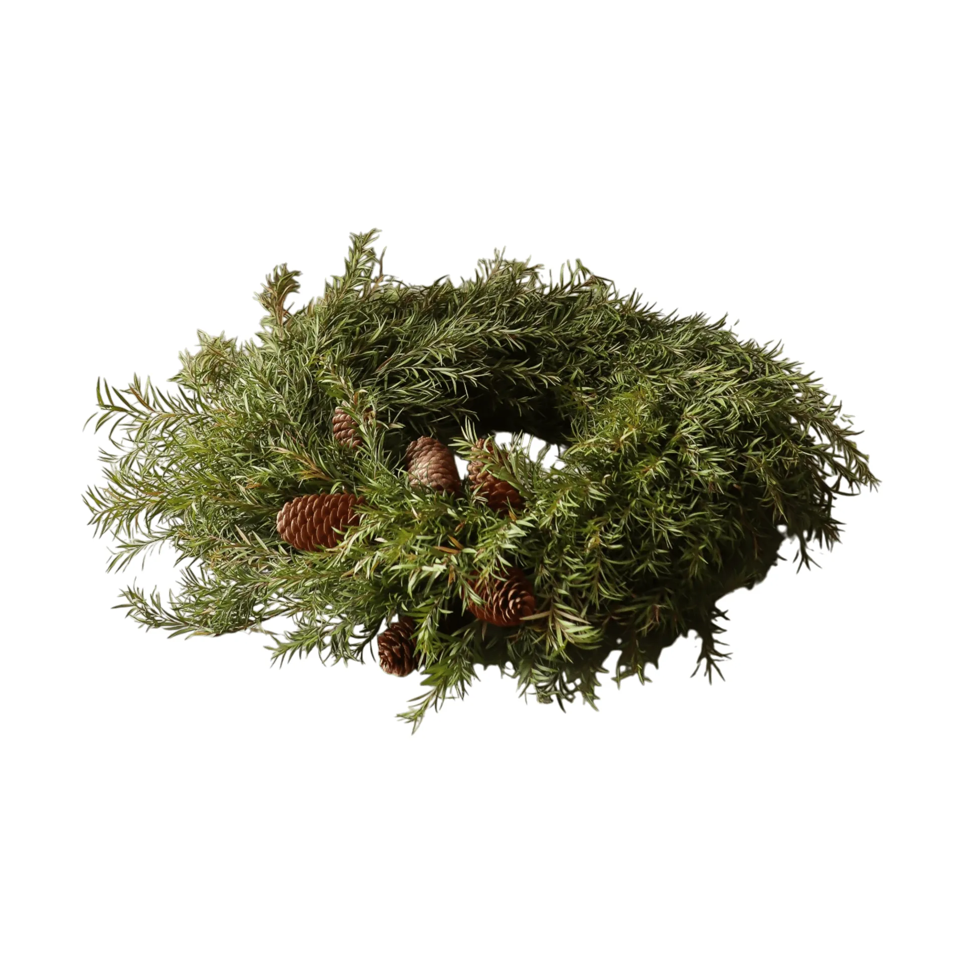 Evergreen Pine Wreath krans, Granbar, Ø40 cm Botané