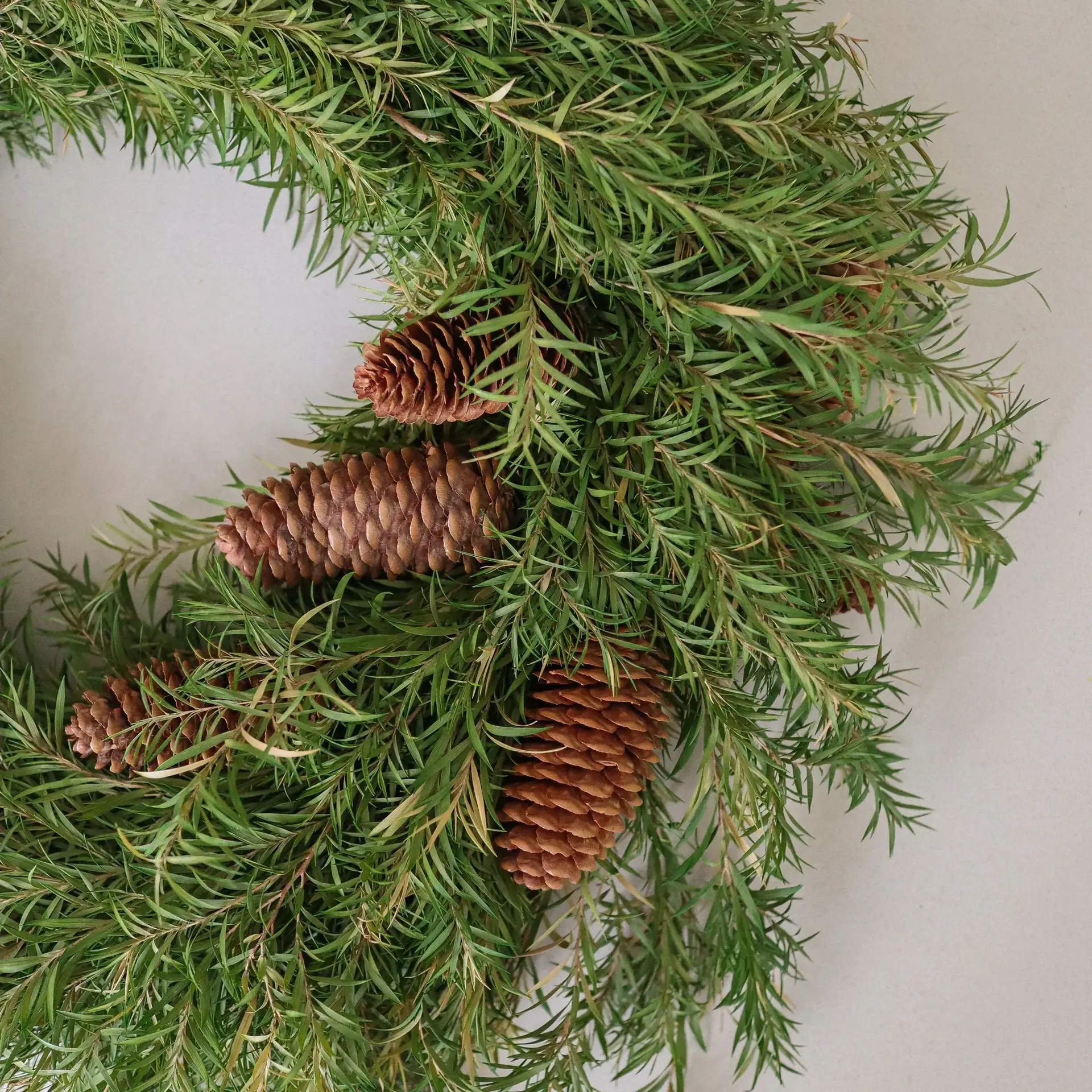 Evergreen Pine Wreath krans, Granbar, Ø40 cm Botané