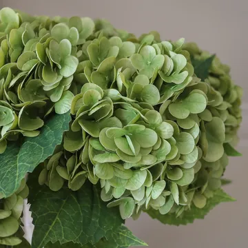 Hortensia kunstig bukett - Mosegrønn, 51 cm, 6 stk - Botané