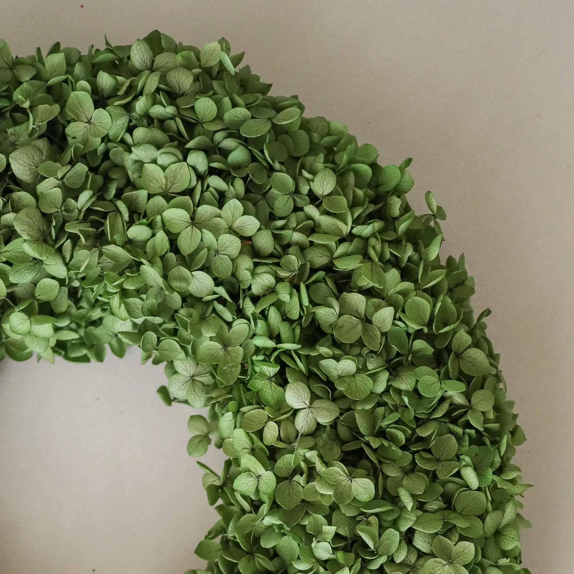 Hortensia Wreath blomsterkrans, Green, Ø40 cm Botané