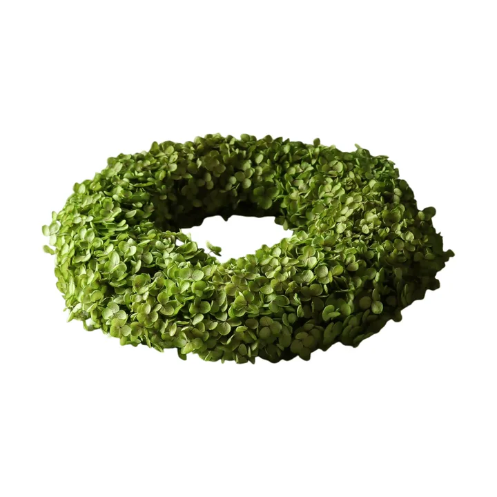 Hortensia Wreath blomsterkrans - Lysegrønn, Ø40 cm - Botané