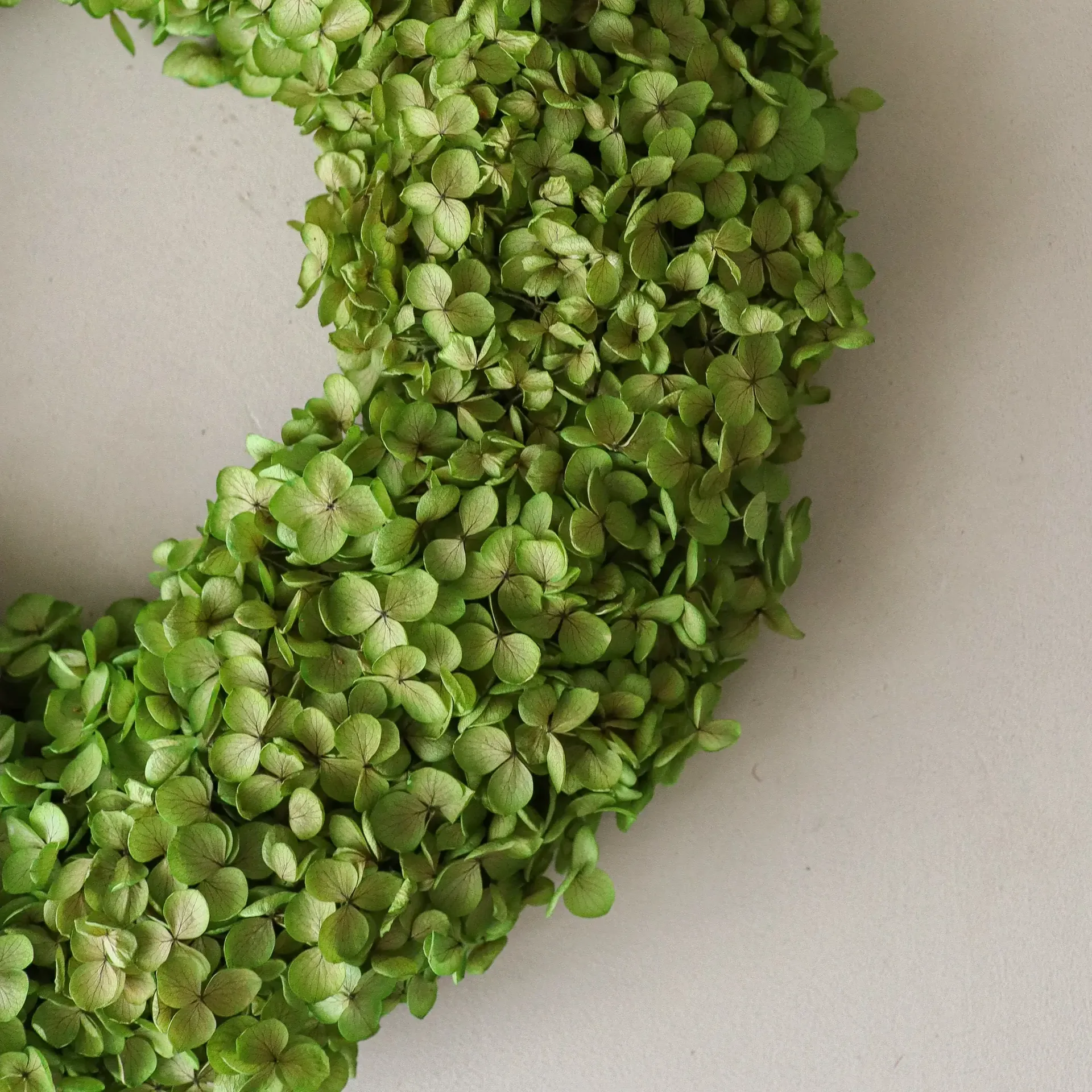 Hortensia Wreath blomsterkrans, Lysegrønn, Ø40 cm Botané