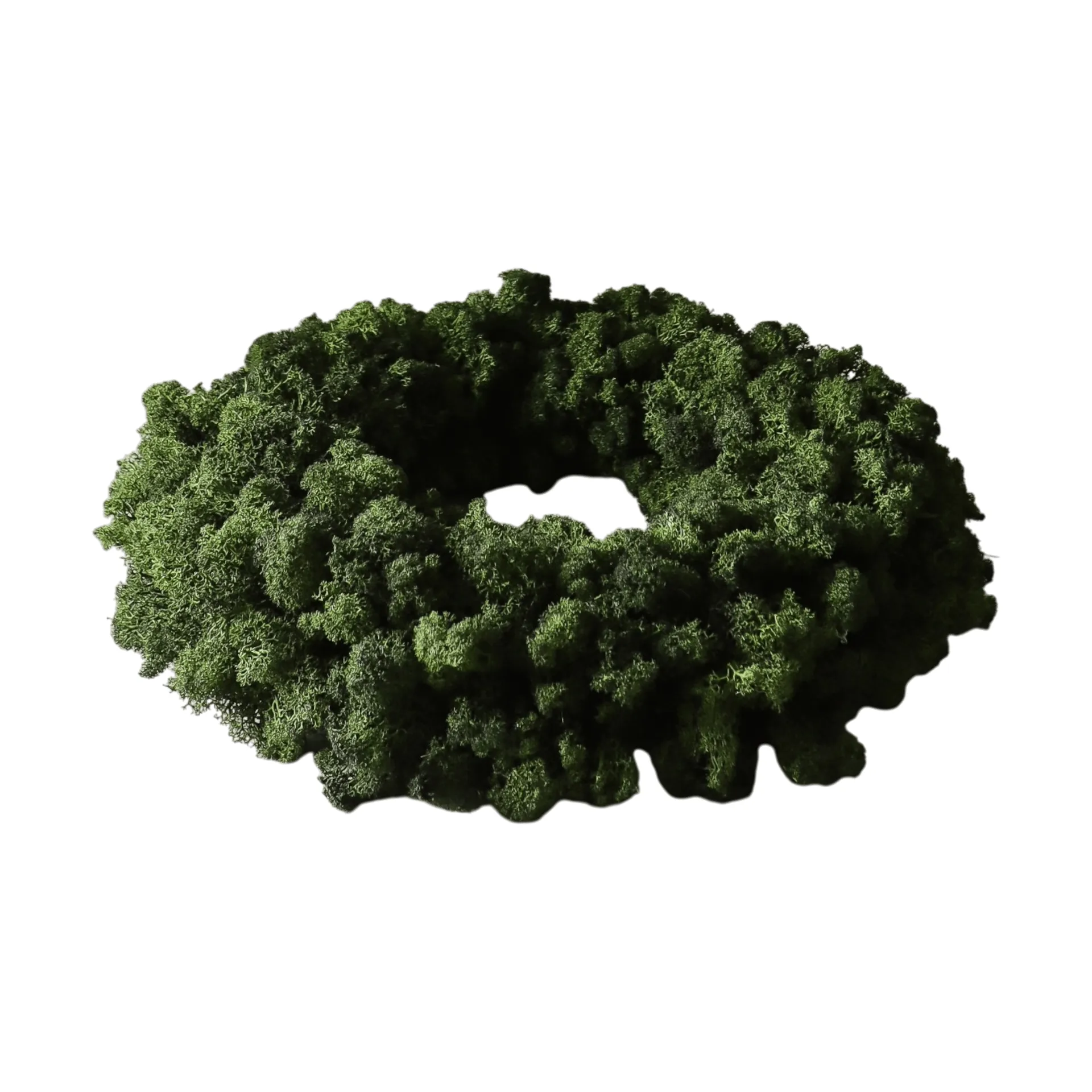 Moss Wreath mosekrans, Green, Ø40 cm Botané