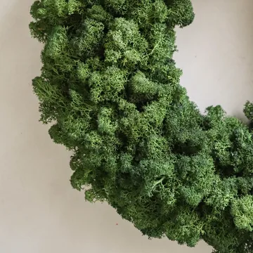 Moss Wreath mosekrans - Green, Ø40 cm - Botané