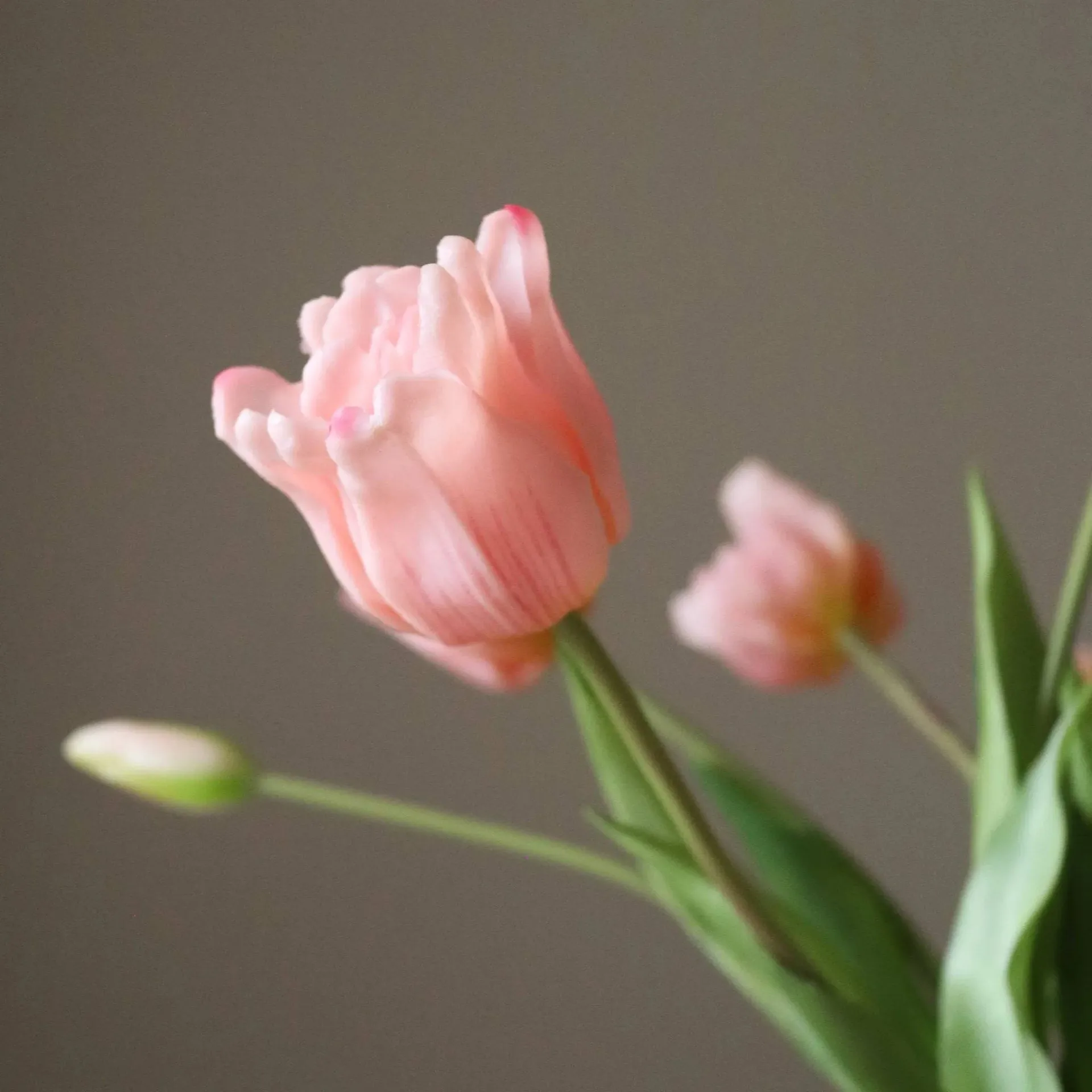 Tulipaner Triumph kunstig bukett, Lyserosa, 10 stk Botané
