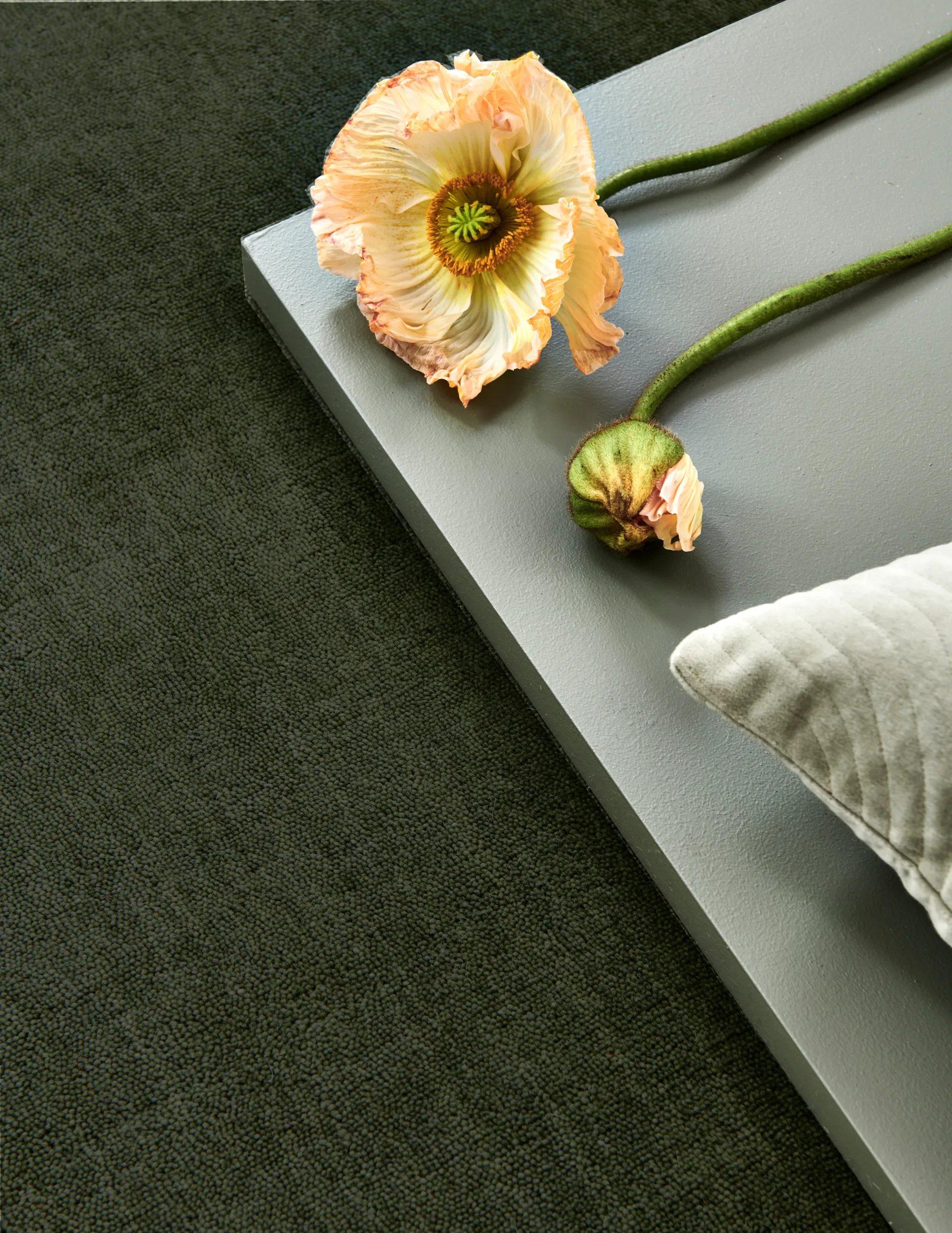 Solid teppe, Green, 250x350 cm Classic Collection