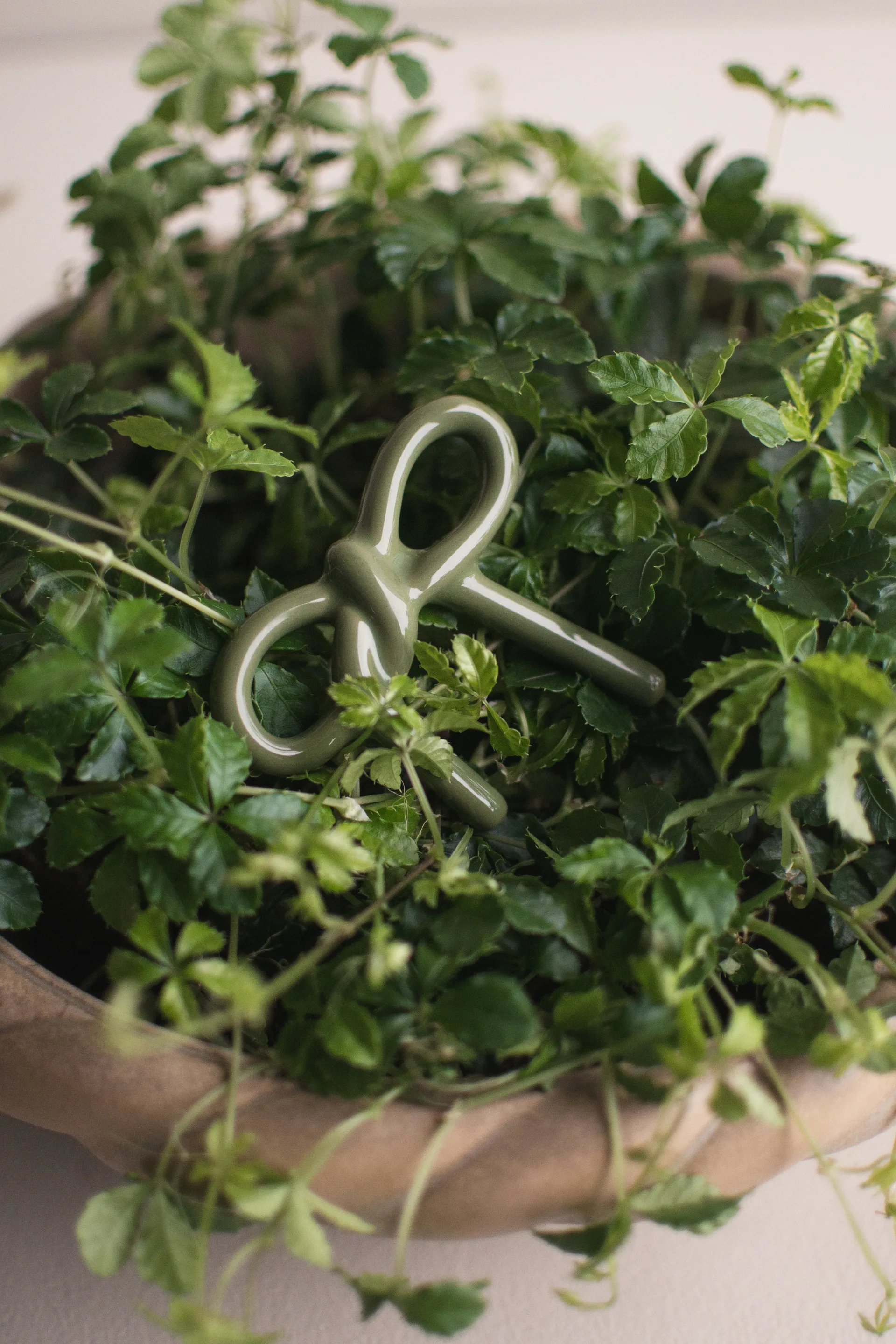 Bow blomsterdekorasjon, Shiny green DBKD