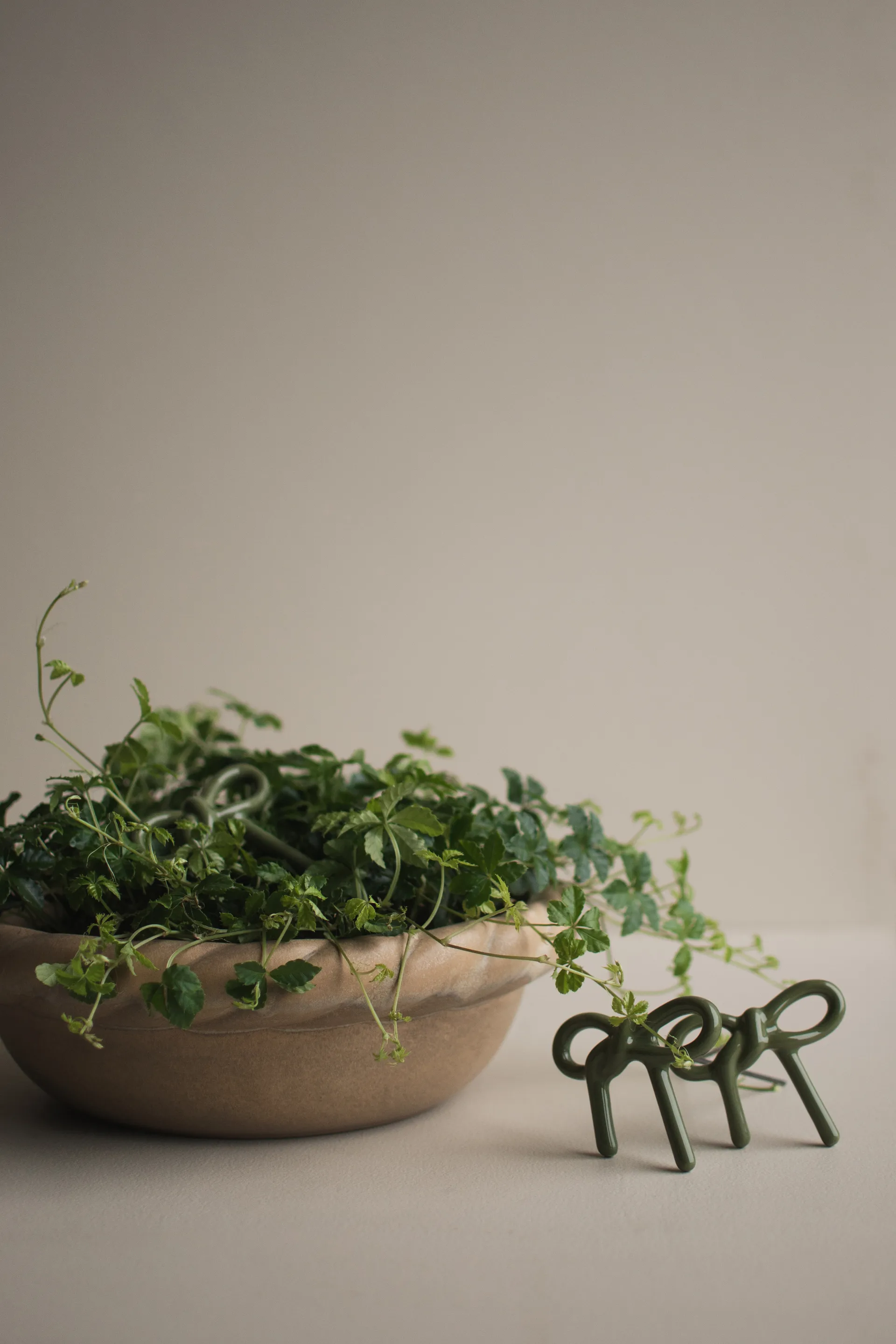 Bow blomsterdekorasjon, Shiny green DBKD