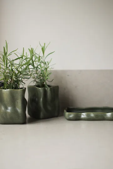 Herb krukke 3 deler - Moss - DBKD