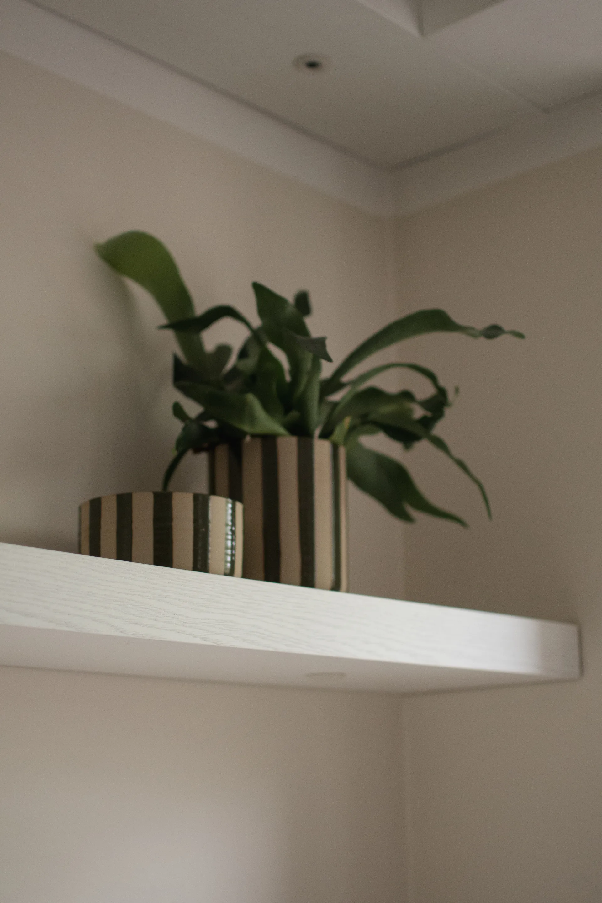 Line dekorasjonsskål Ø16 cm, Stripe Green DBKD