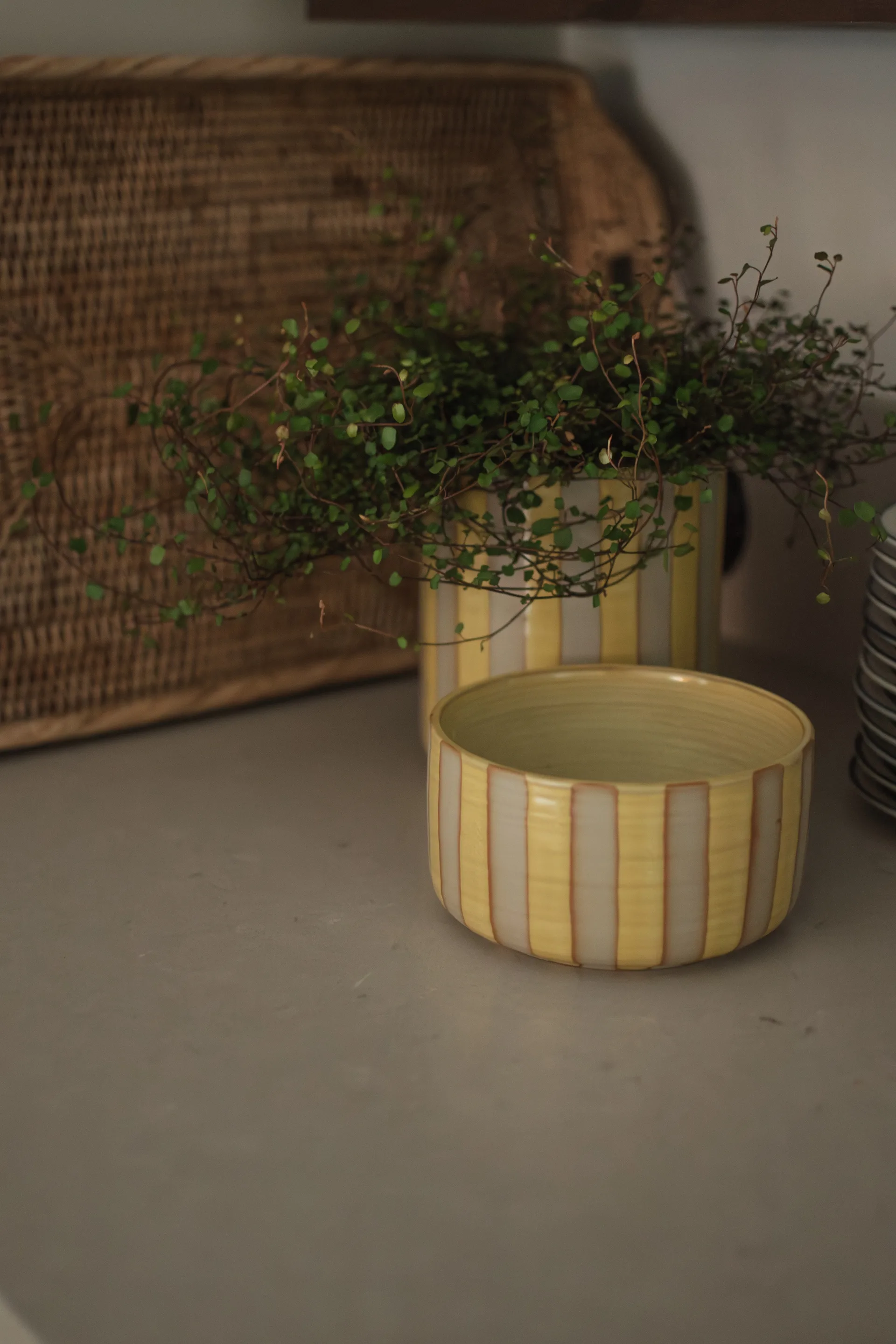 Line dekorasjonsskål Ø16 cm, Yellow DBKD