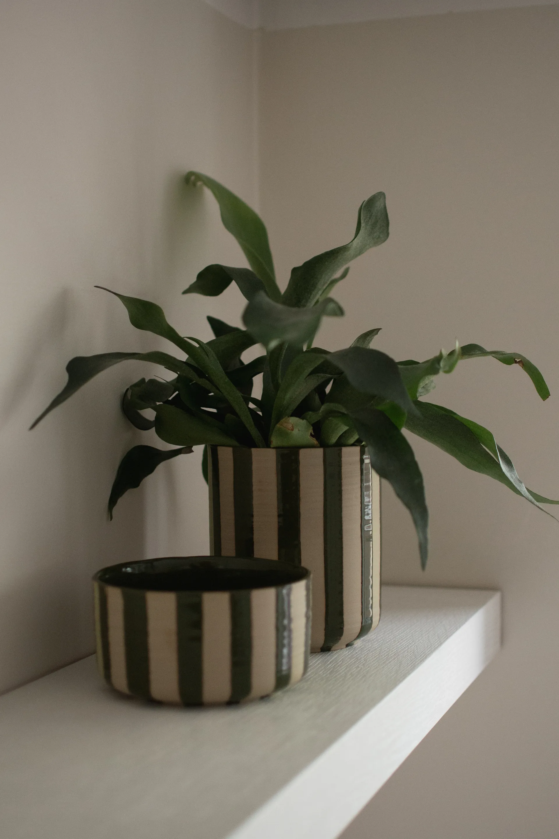 Line krukke Ø14x16 cm, Stripe Green DBKD