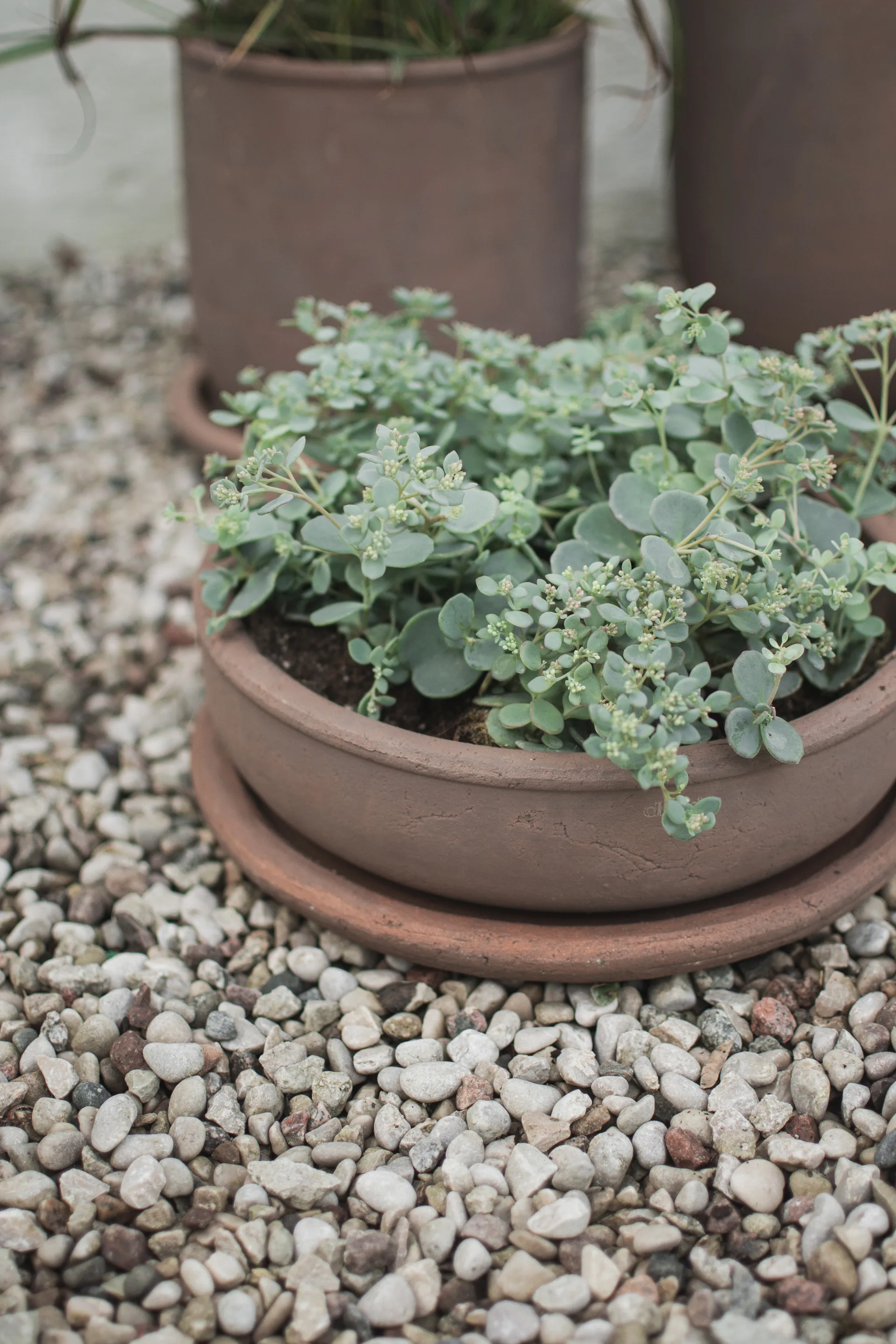Terra bowl krukke, Brown, Ø30x10,5 cm DBKD