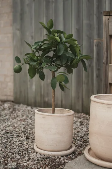 Terra krukke - Sand, Ø23x26 cm - DBKD