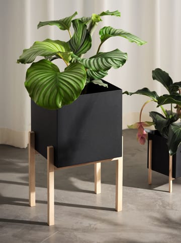 Botanic pedestal krukke - Svart-ask - Design House Stockholm