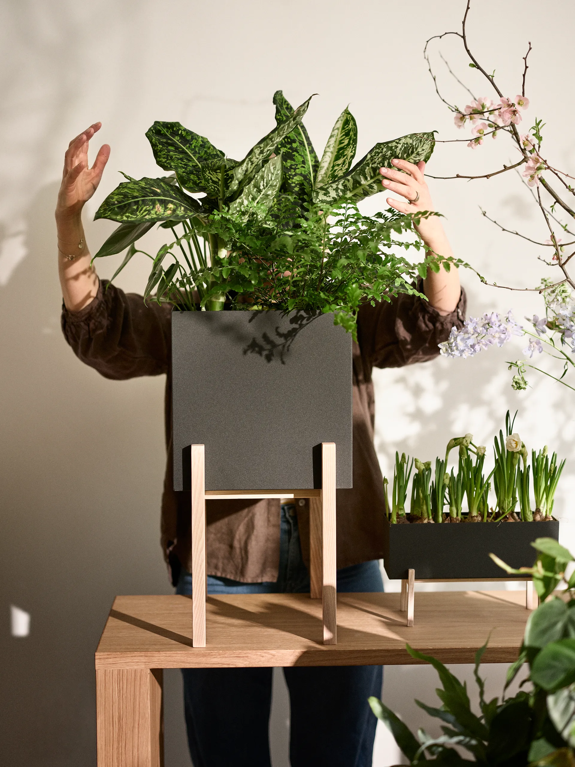 Botanic pedestal krukke, Svart-ask Design House Stockholm