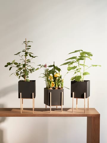 Botanic pedestal krukke - Svart-ask - Design House Stockholm