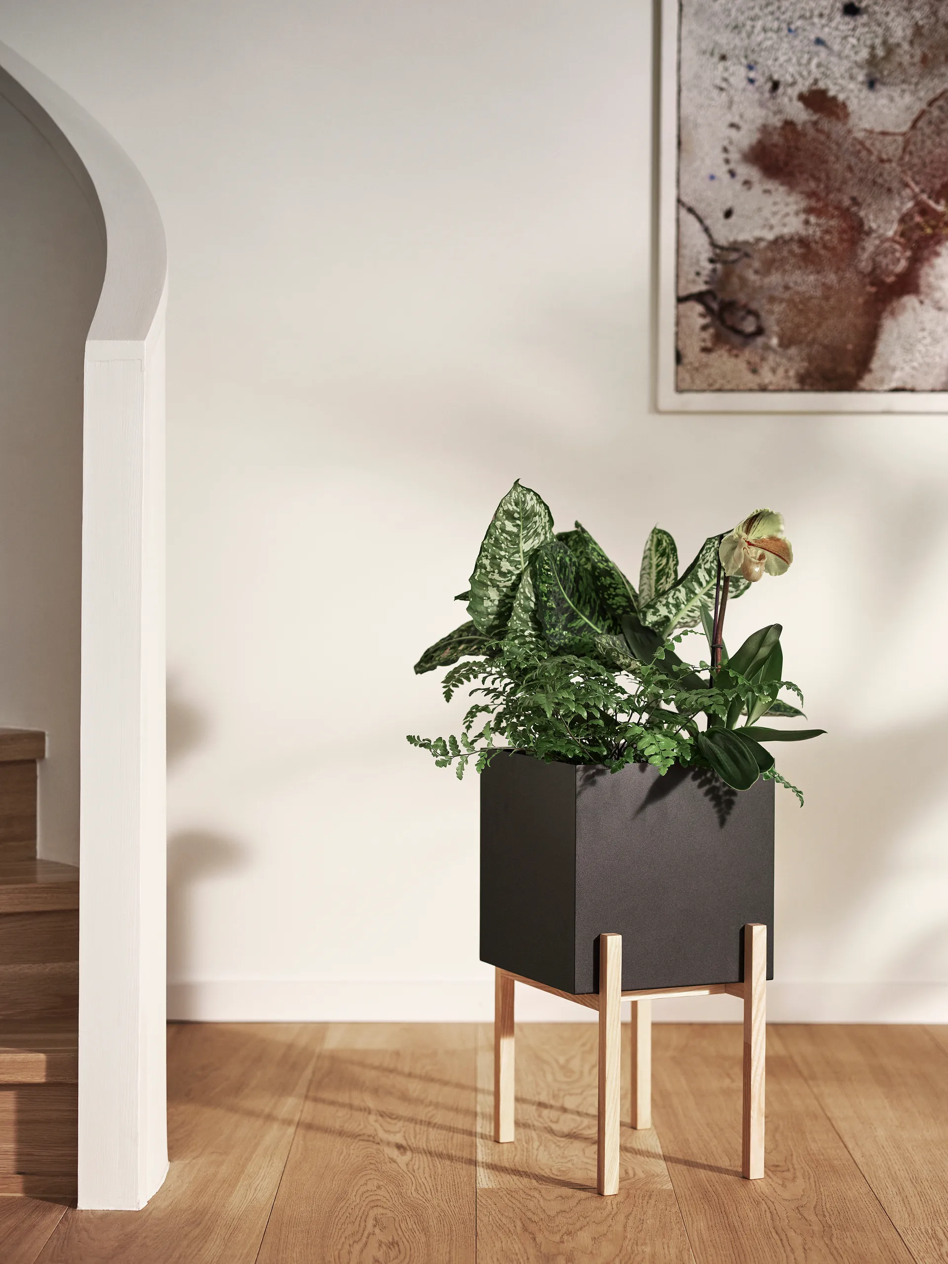 Botanic pedestal krukke, Svart-ask Design House Stockholm