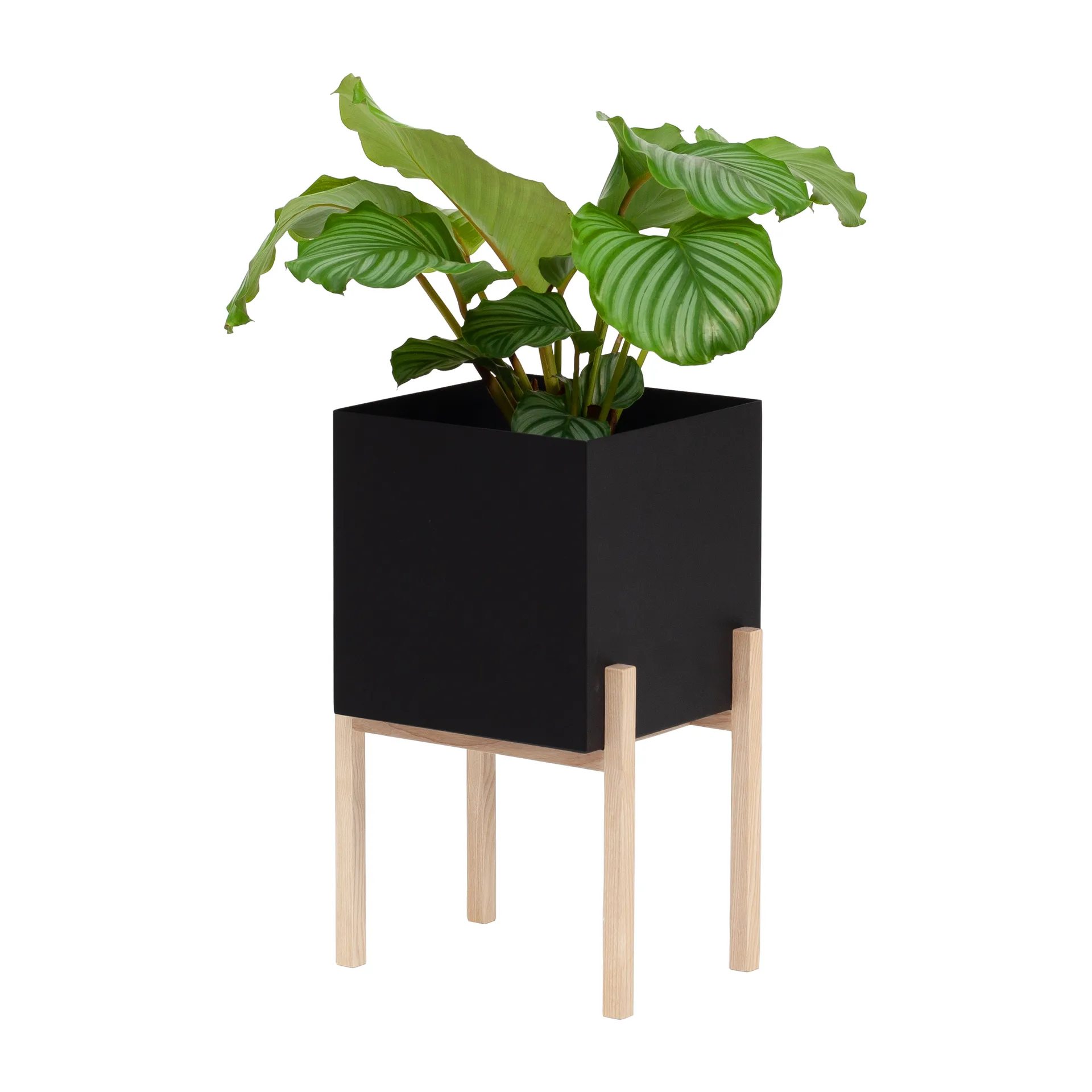 Botanic pedestal krukke, Svart-ask Design House Stockholm