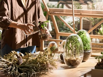 Grow vekstkuppel - Medium ø11 cm - Design House Stockholm