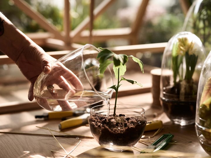 Grow vekstkuppel, Small ø8 cm Design House Stockholm
