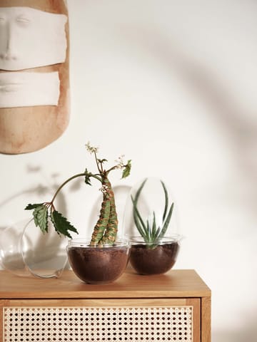 Grow vekstkuppel - x-large Ø20 cm - Design House Stockholm