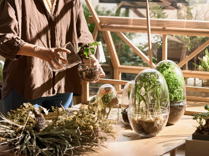 Grow vekstkuppel, x-large Ø20 cm Design House Stockholm