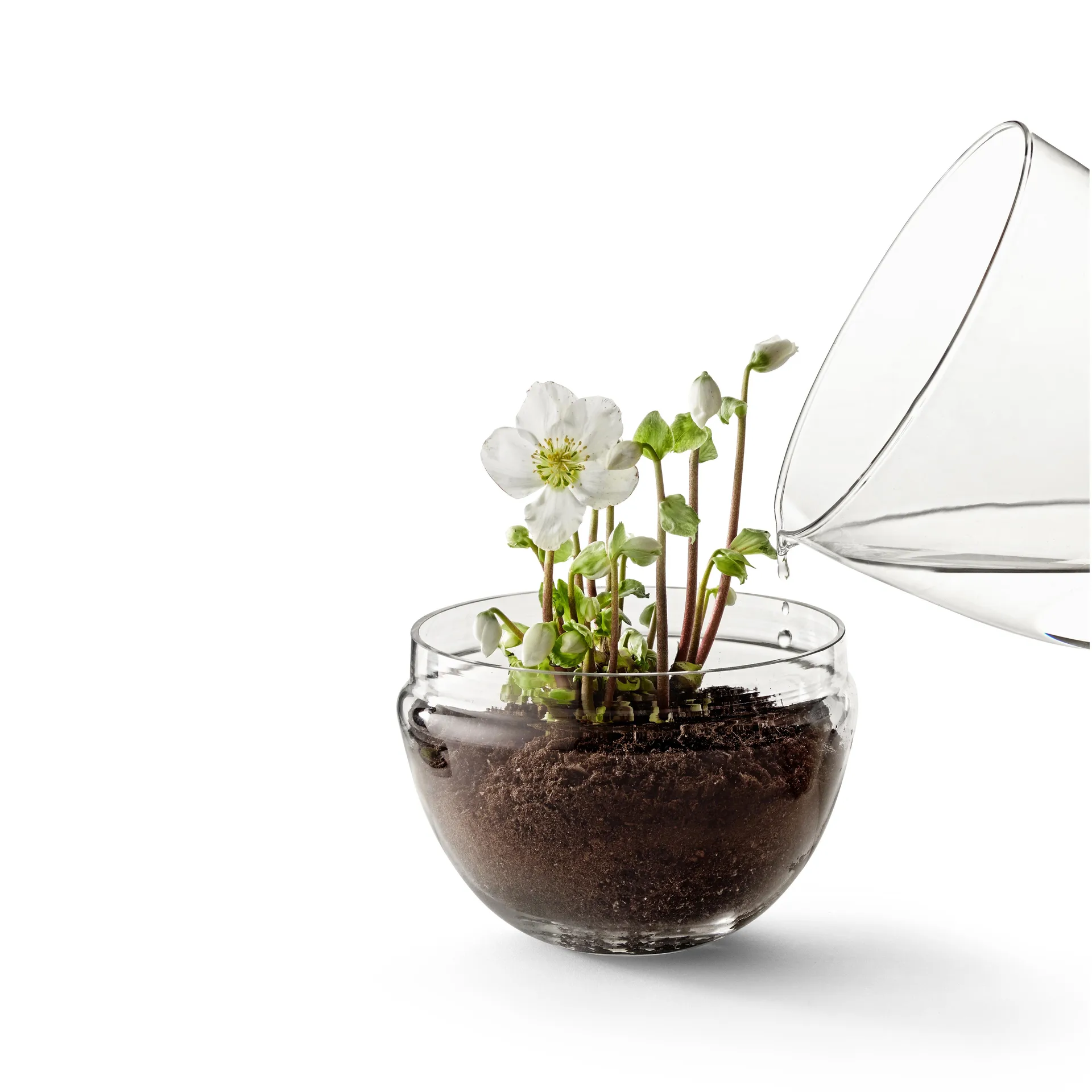 Grow vekstkuppel, x-large Ø20 cm Design House Stockholm