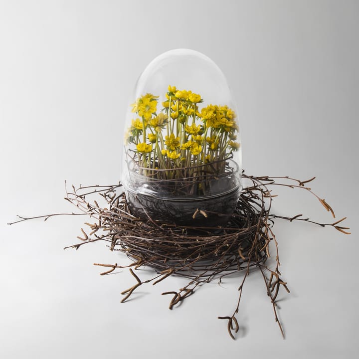 Grow vekstkuppel, x-large Ø20 cm Design House Stockholm